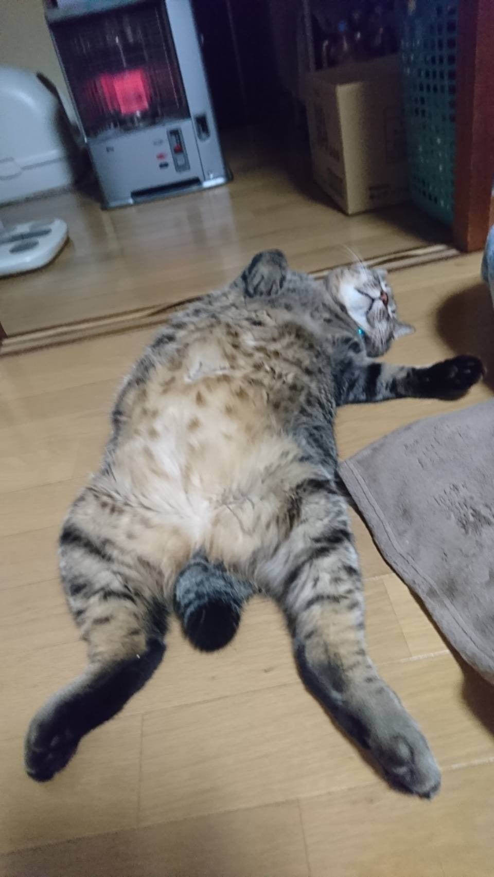 4番目のメイン画像