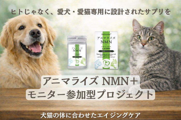 犬猫の体に合わせたNMNサプリで「今日よりもっと元気な明日」を支え