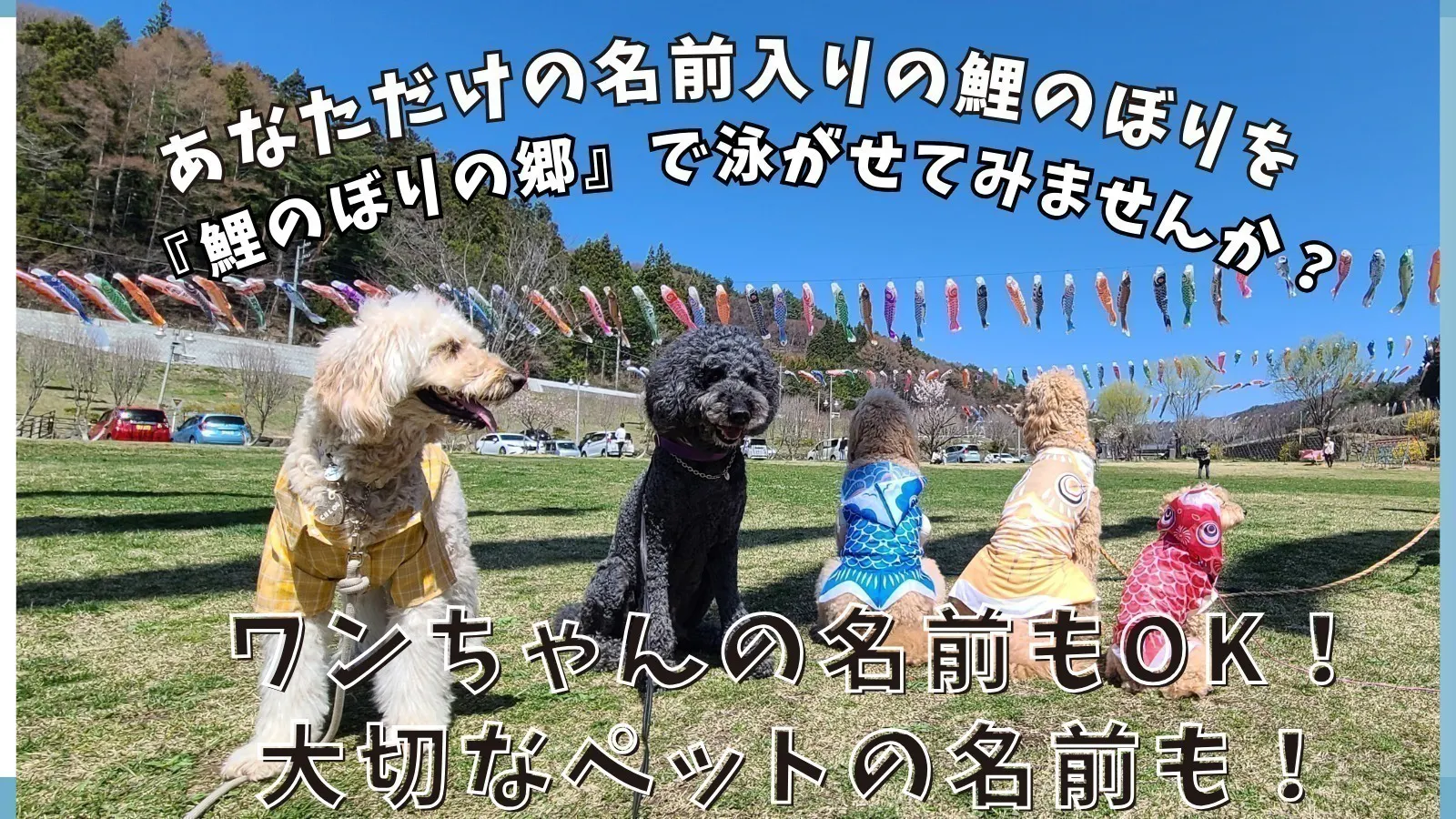 3番目のメイン画像