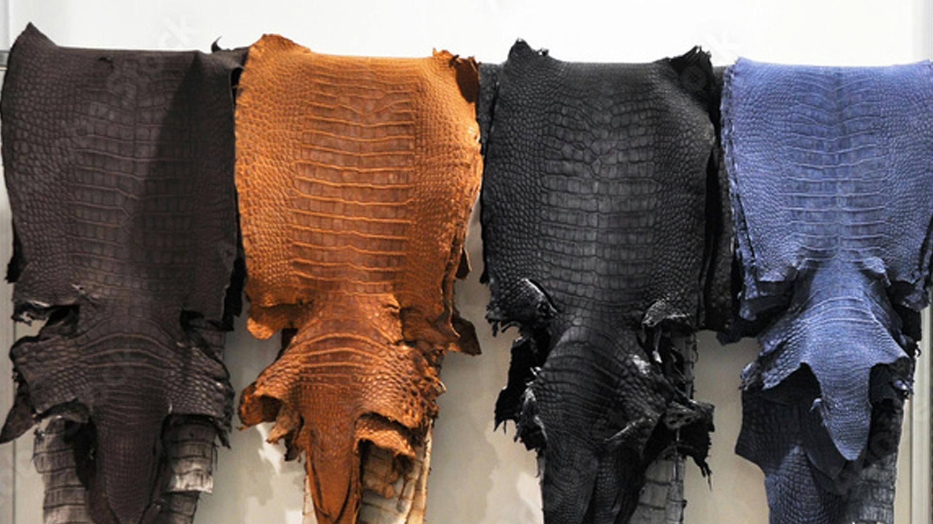 革業界16年の実績を結集し、本クロコダイル長財布を29,800円で製品化し