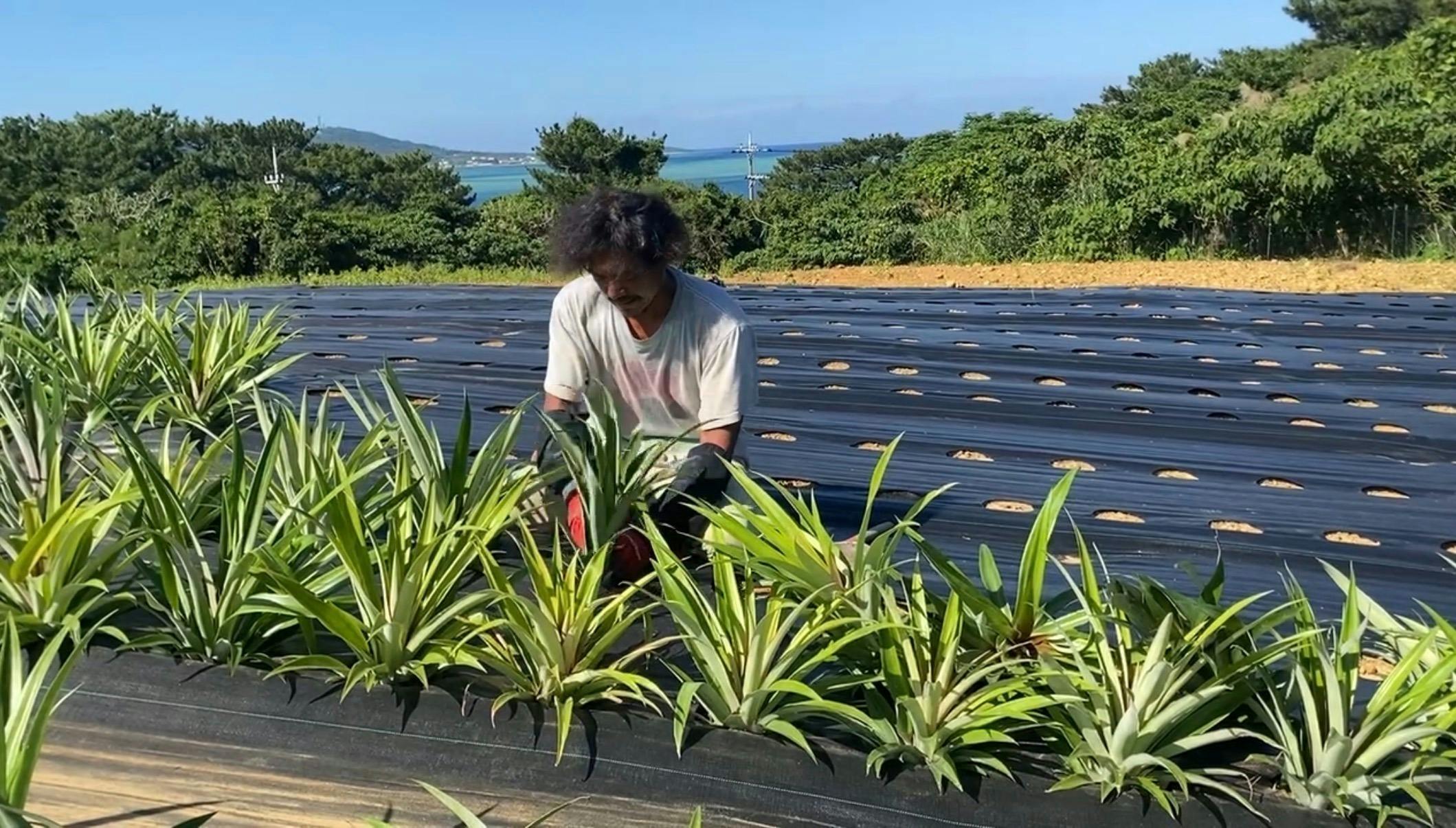 3番目のメイン画像