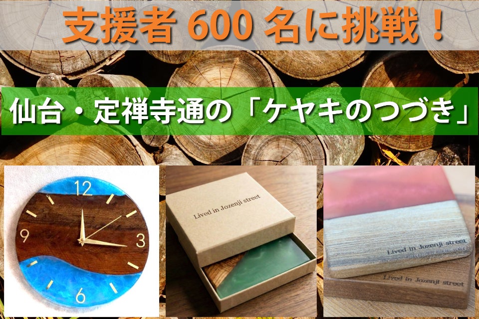 樹齢80年超のケヤキを未来へつなぎたい！定禅寺通の記憶を刻む「ケヤキ