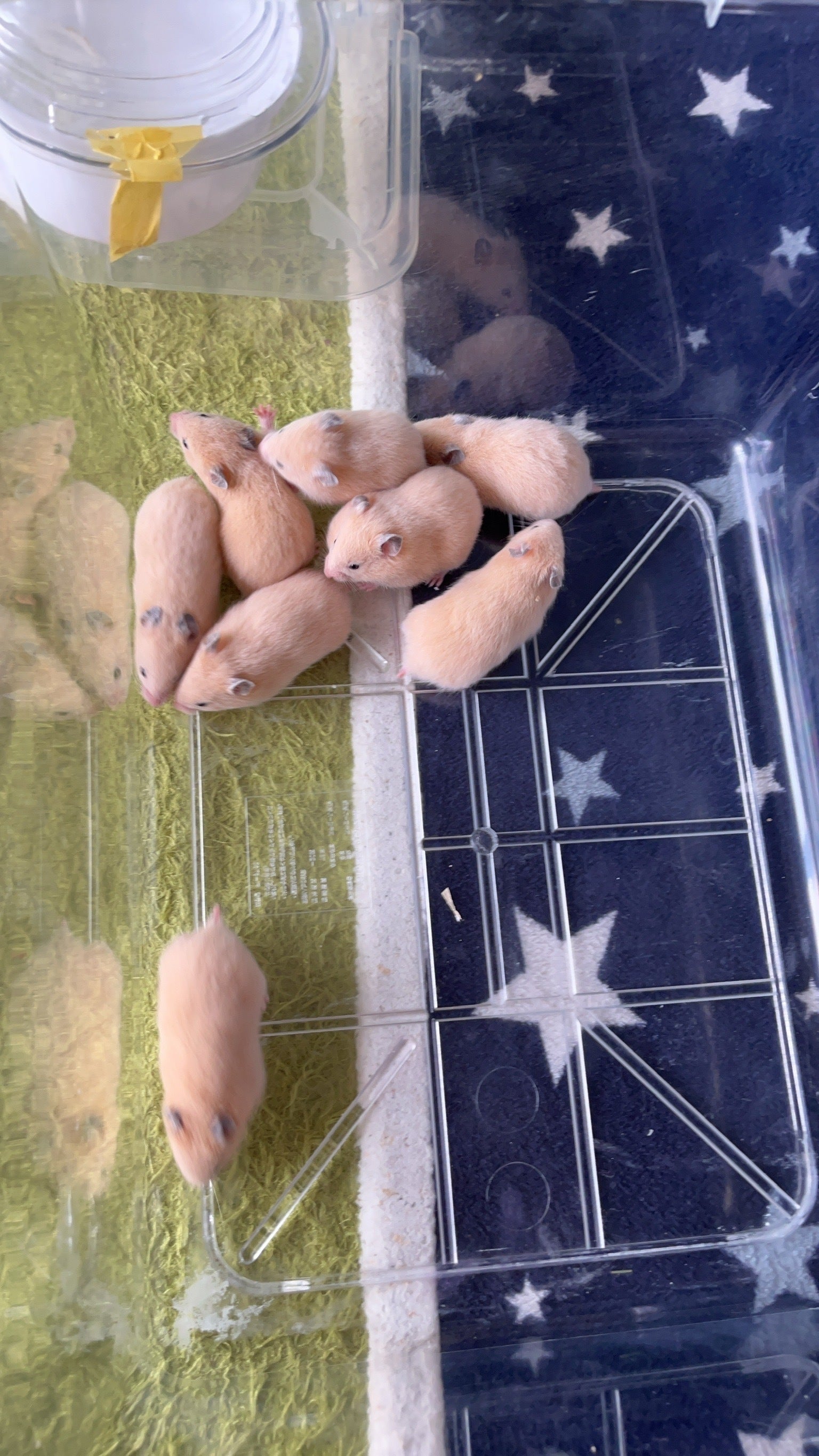 4番目のメイン画像