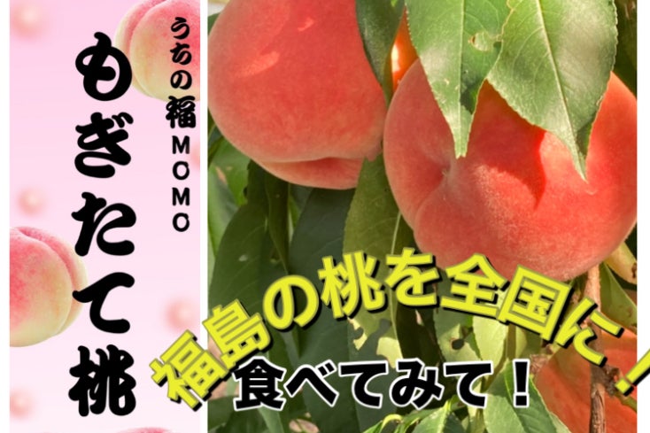 福島桃プロジェクト 〜全国に届ける果実の輝き〜 - CAMPFIRE (キャンプ