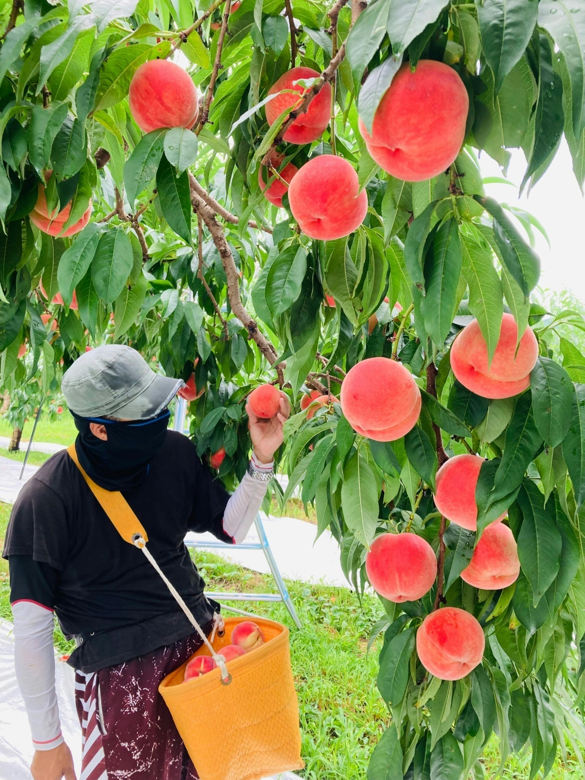 5番目のメイン画像