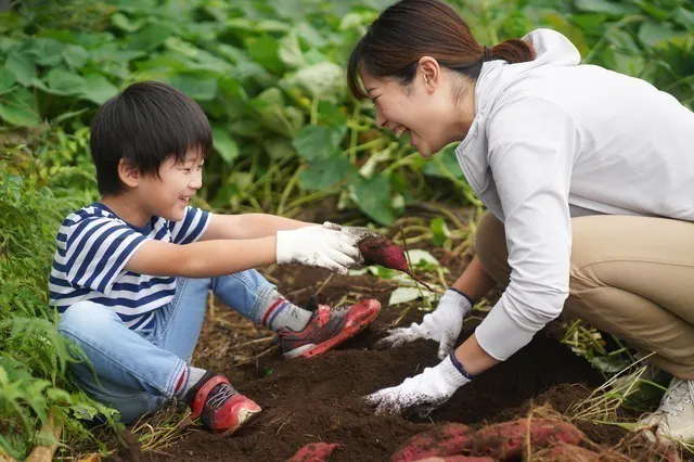 3番目のメイン画像