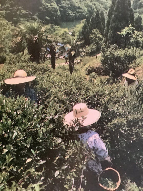 4番目のメイン画像