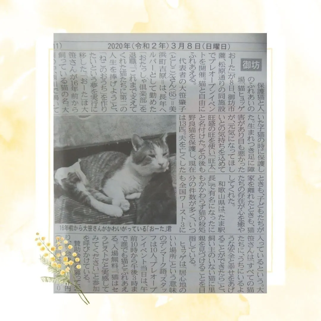 和歌山/ 保護猫の療養部屋を快適化！ 猛暑までに改修工事&エアコン設置