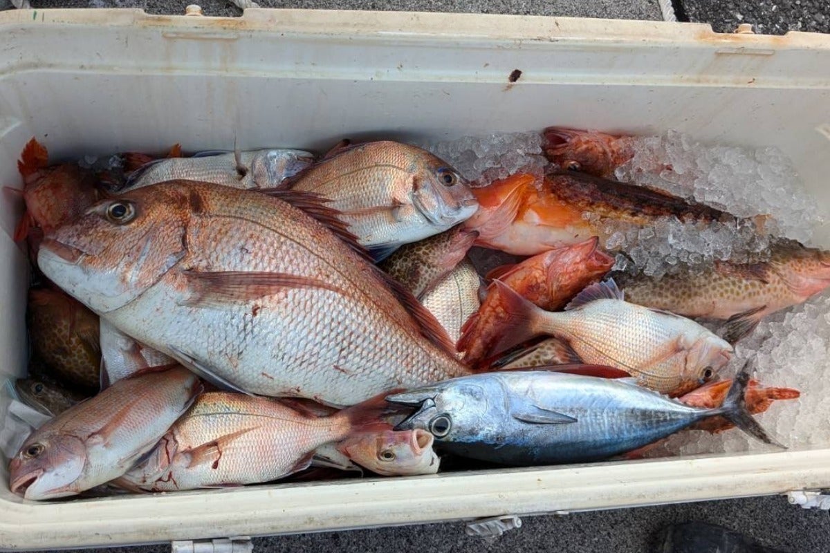 4番目のメイン画像