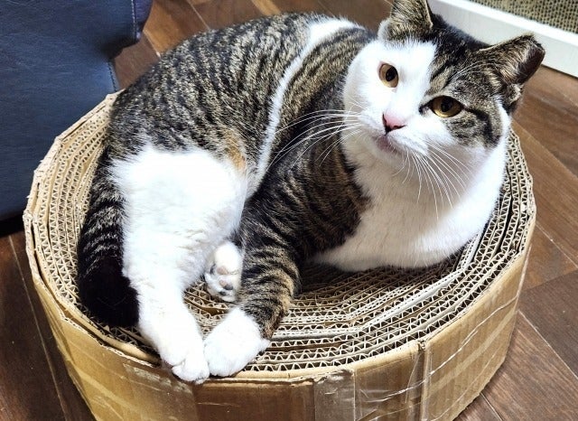 4番目のメイン画像