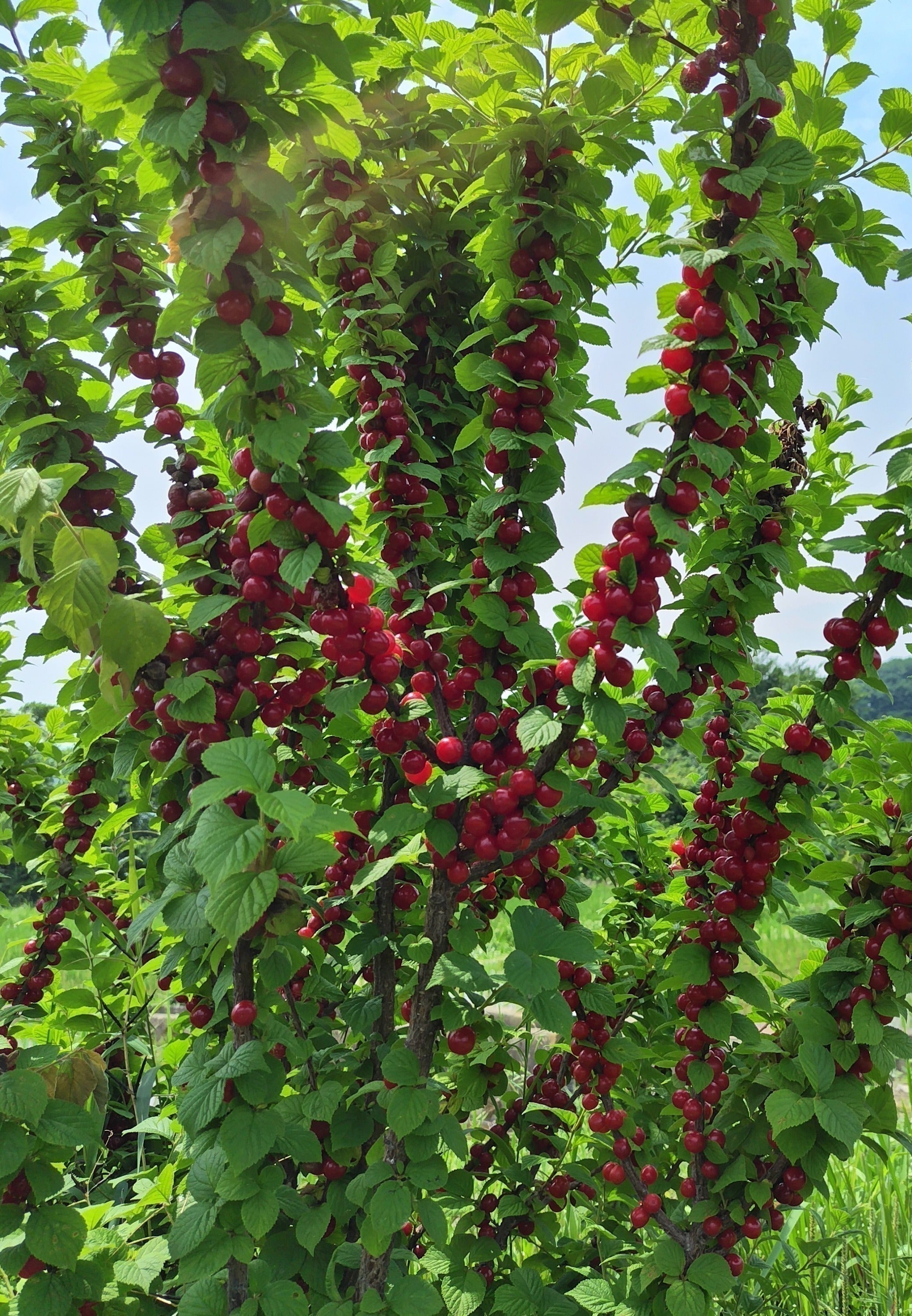 4番目のメイン画像