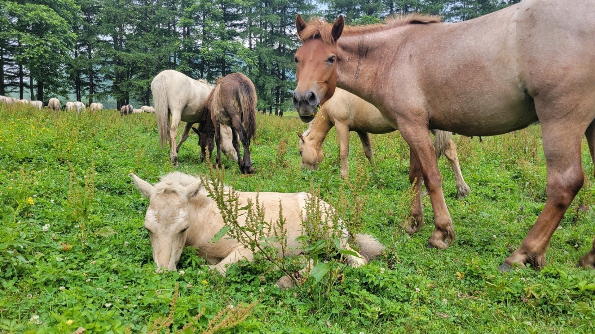 4番目のメイン画像