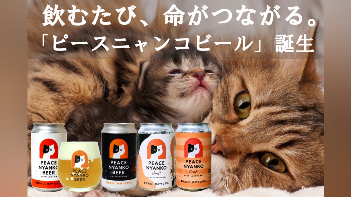 TNR」と「移動手術車」 - CAMPFIRE (キャンプファイヤー) TNR」と「移動手術車」 - CAMPFIRE (キャンプファイヤー)