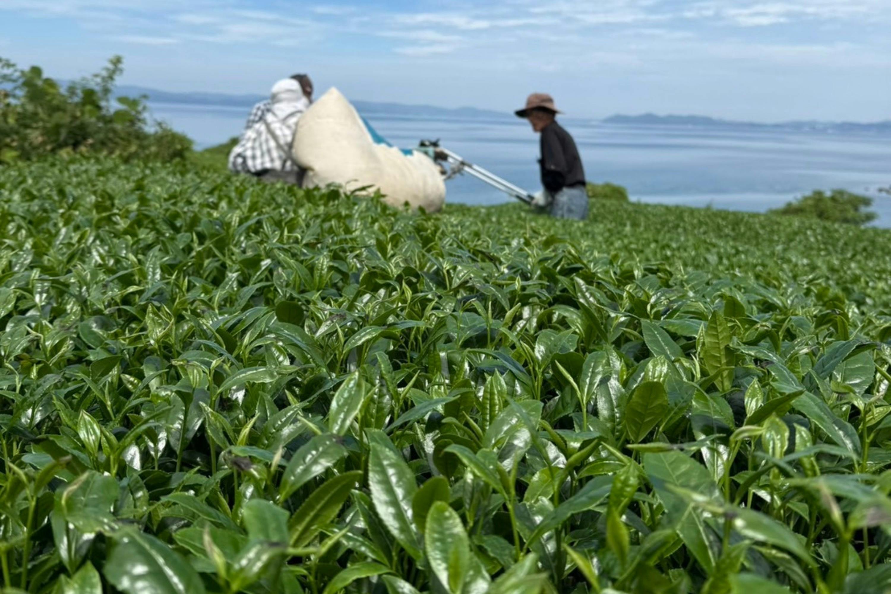 4番目のメイン画像