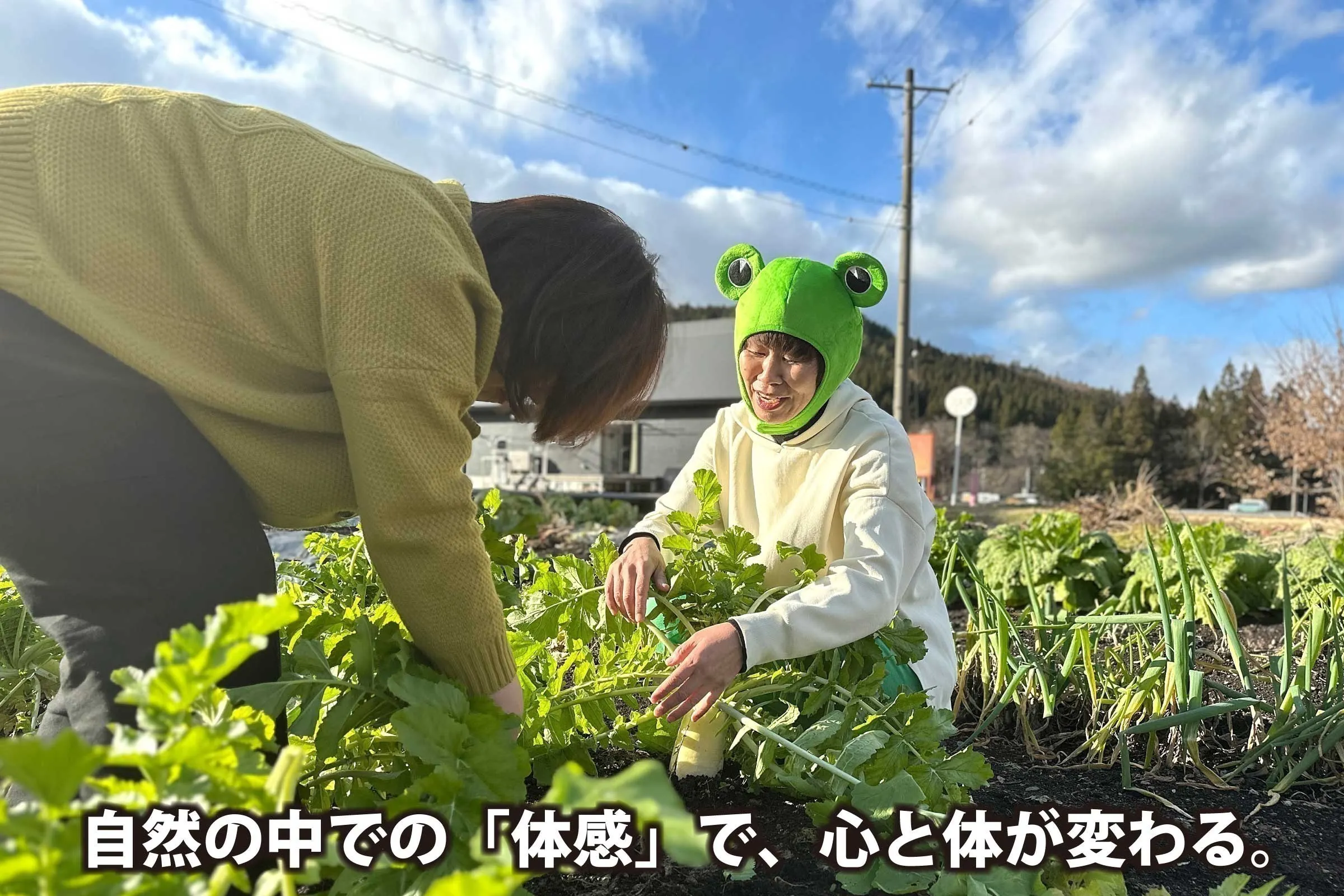 3番目のメイン画像