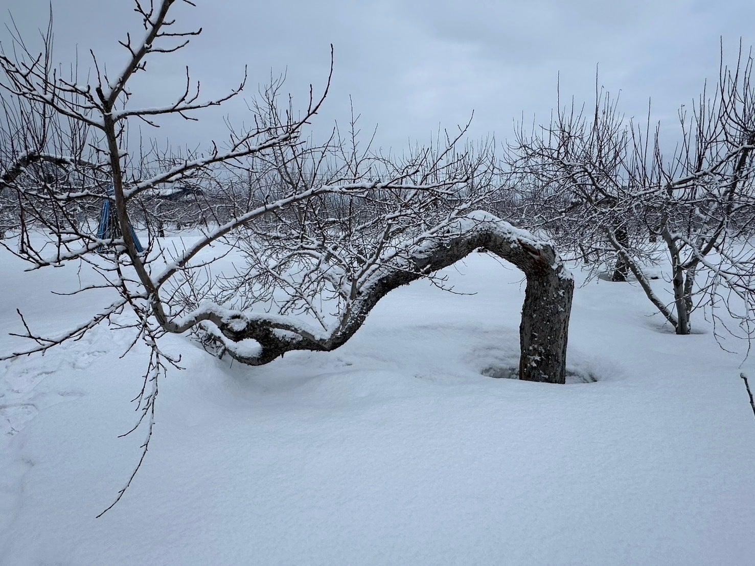 4番目のメイン画像