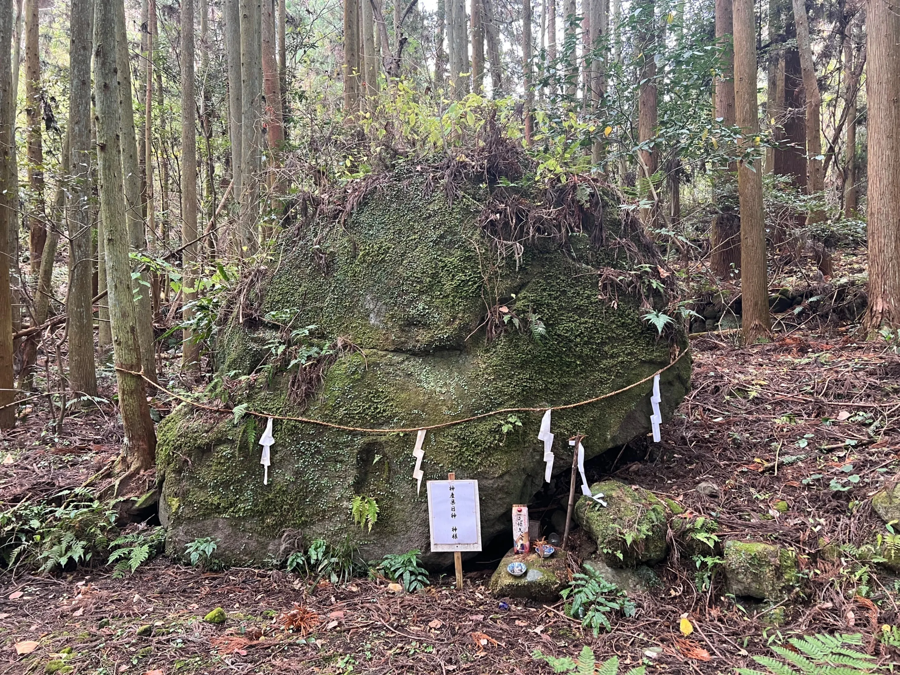 4番目のメイン画像