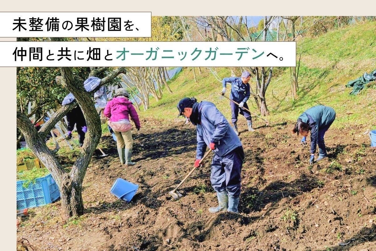 3番目のメイン画像