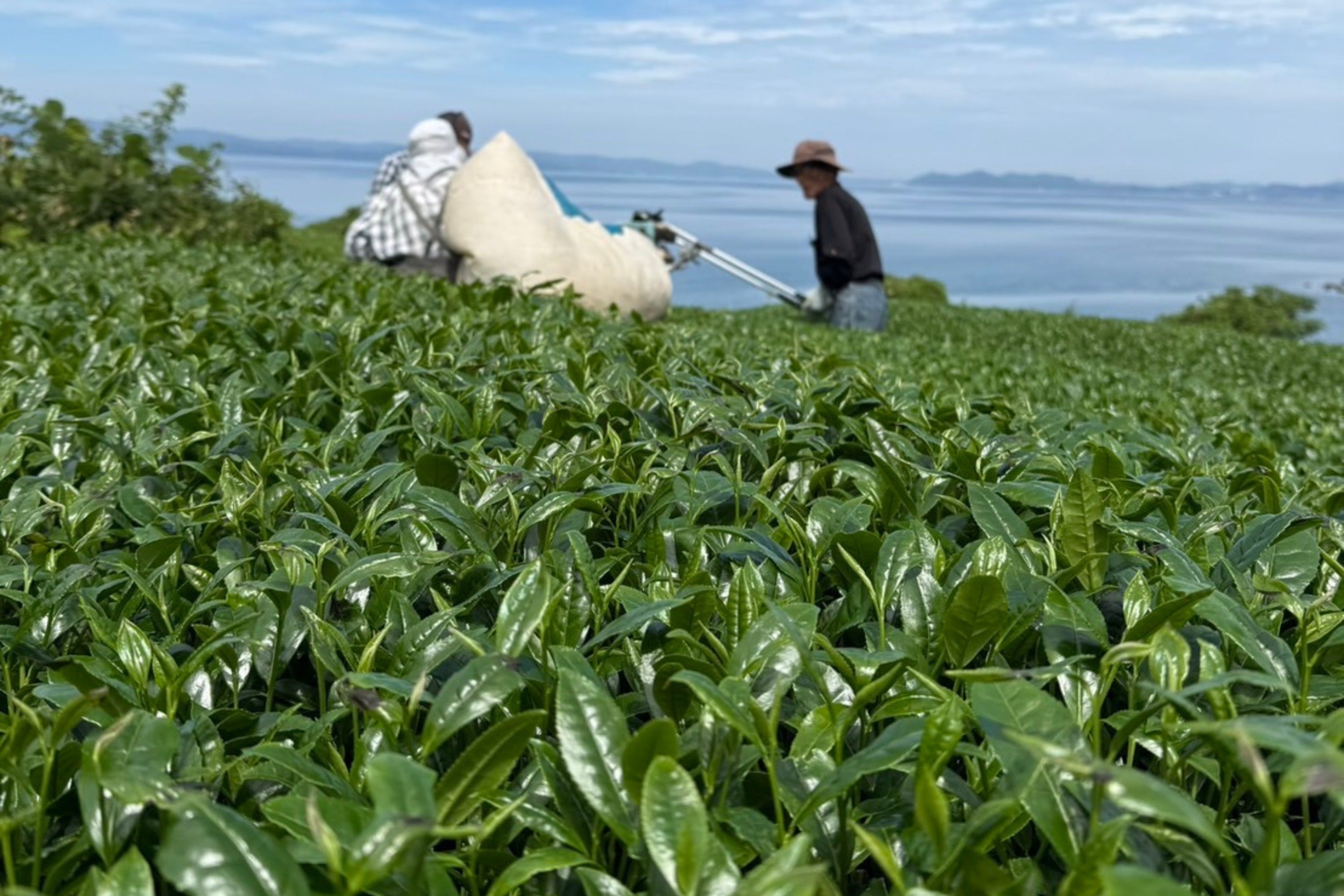 4番目のメイン画像