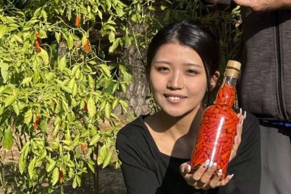 沖縄発！古酒と島唐辛子の究極コーレーグースを全国へ - CAMPFIRE