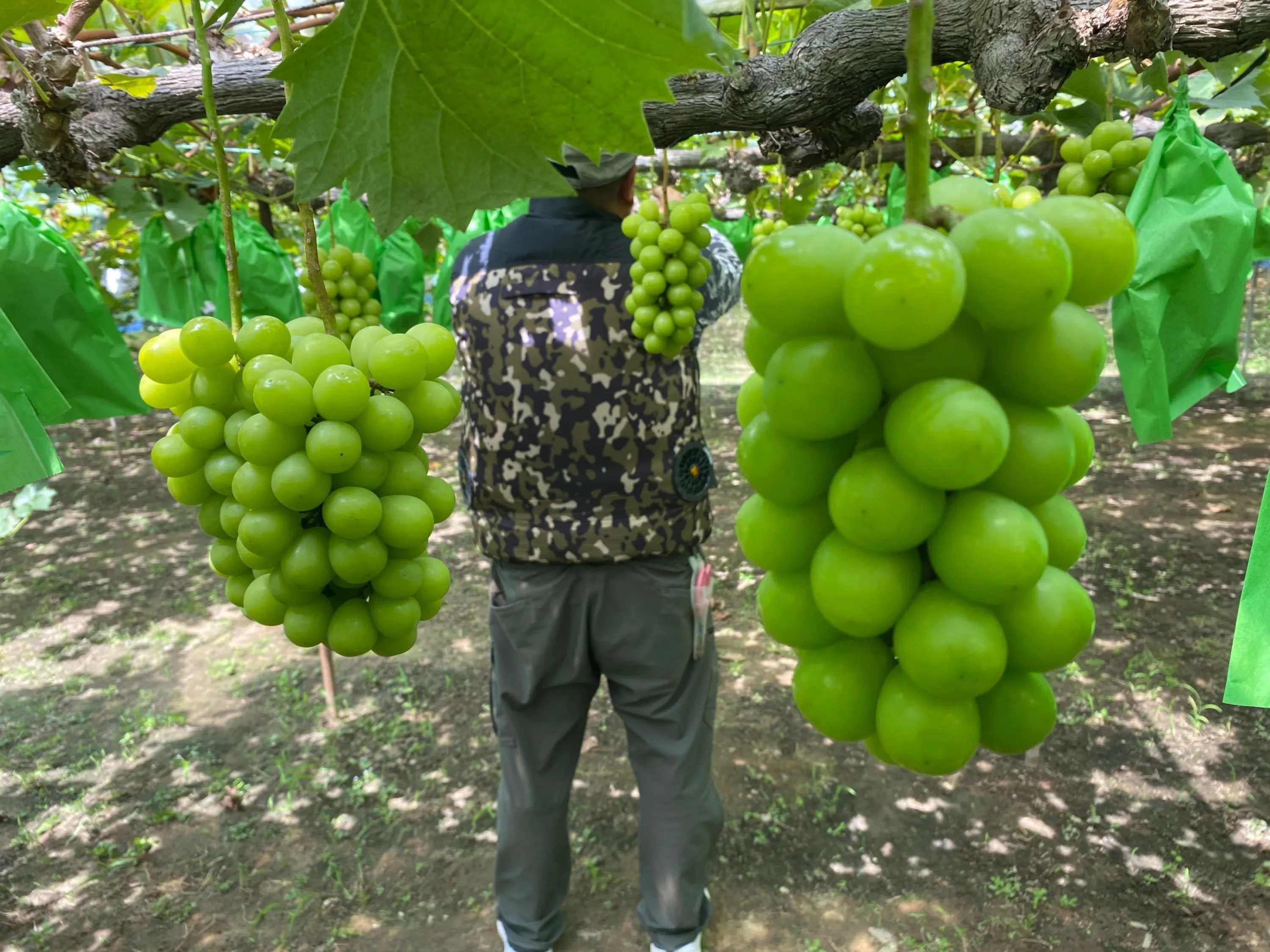 2番目のメイン画像