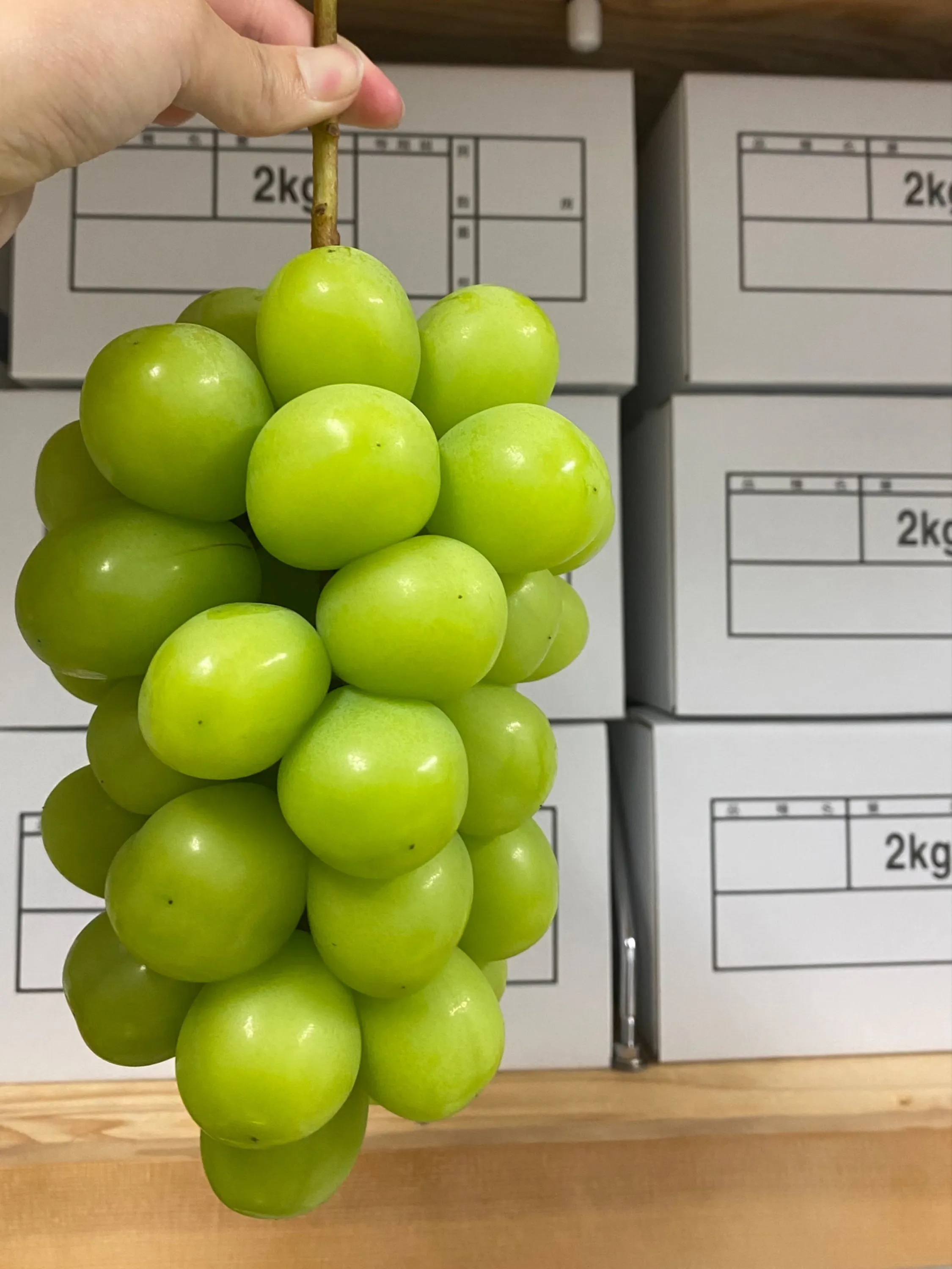 5番目のメイン画像