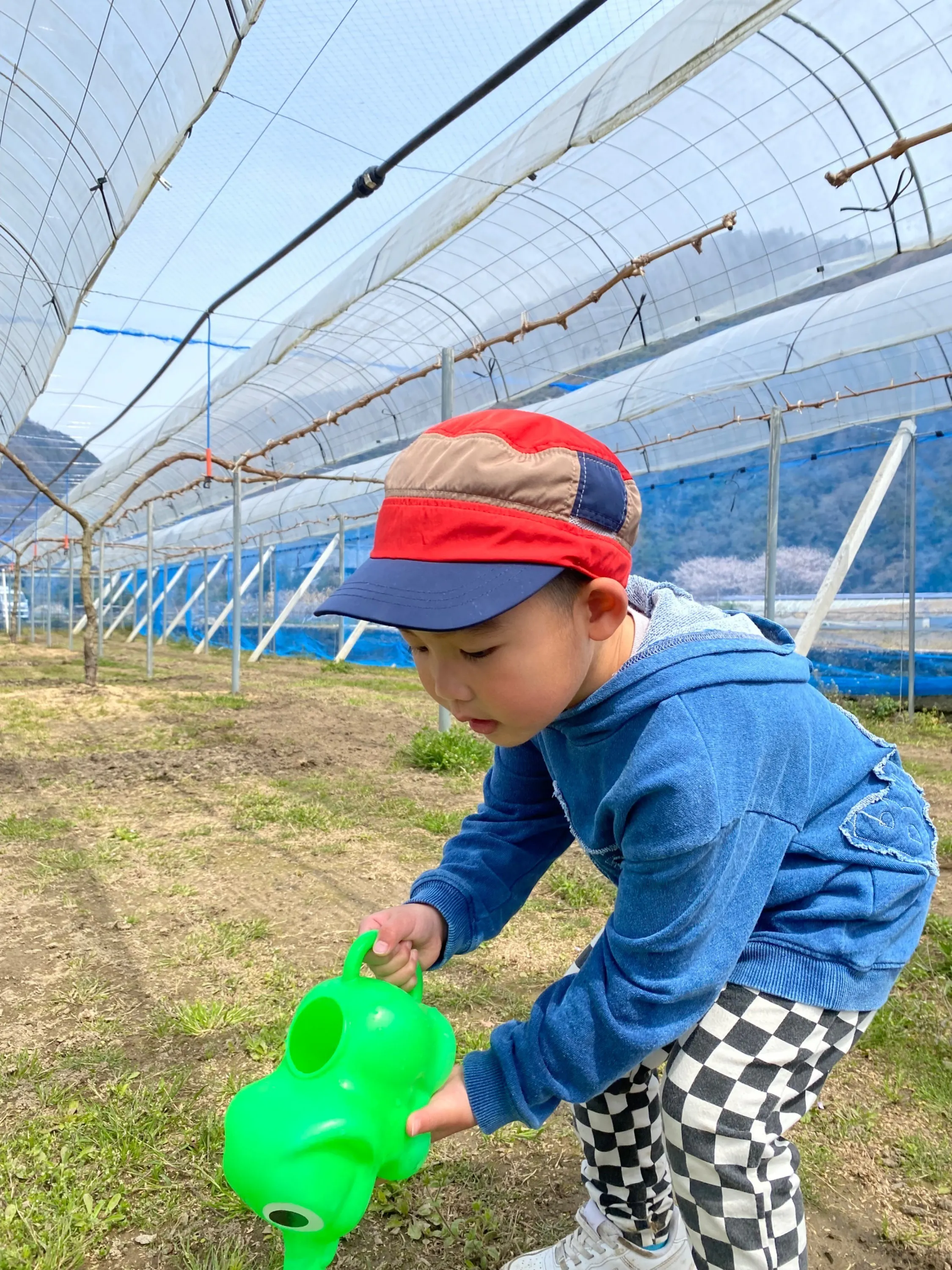 4番目のメイン画像