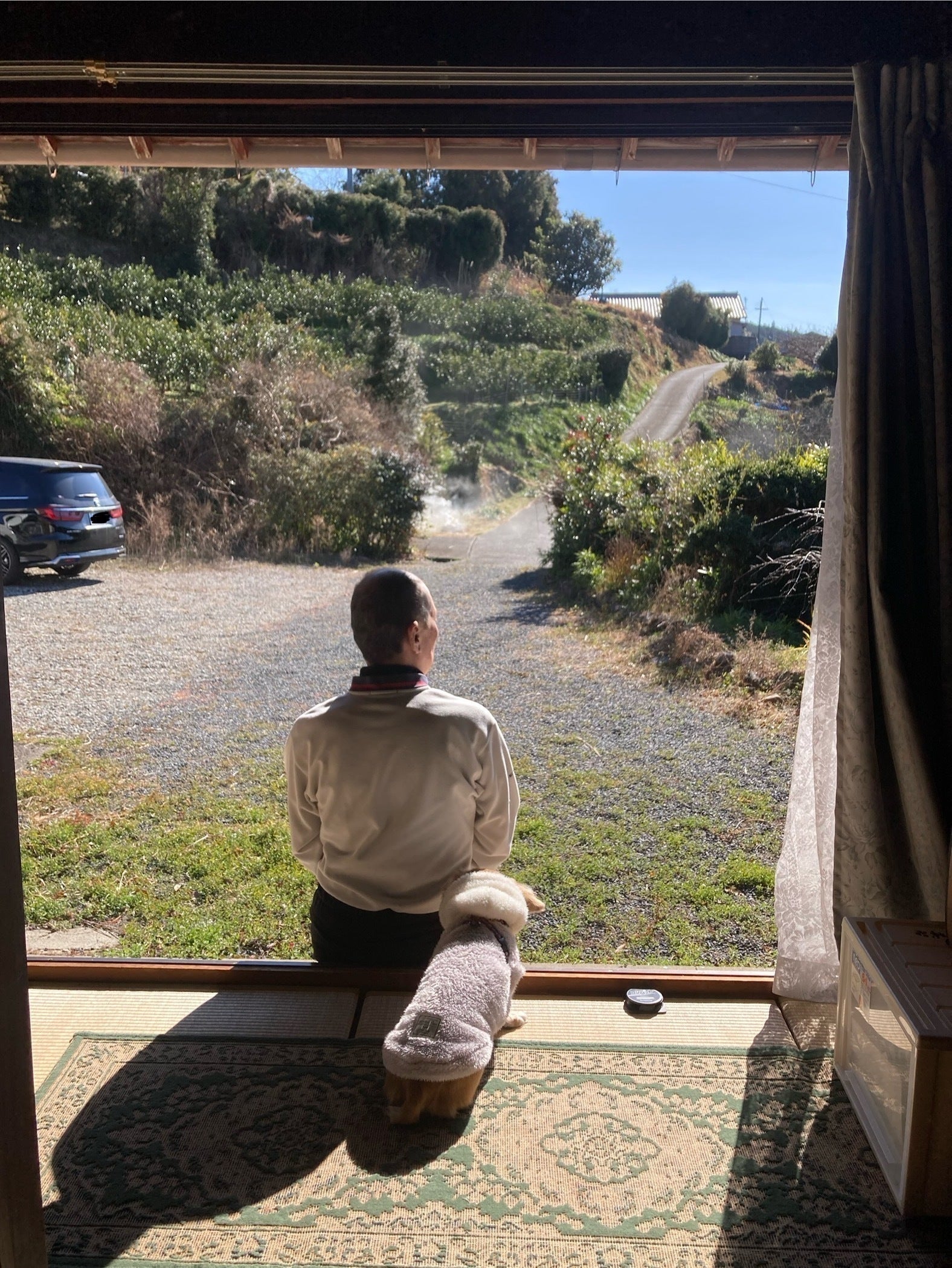 2番目のメイン画像