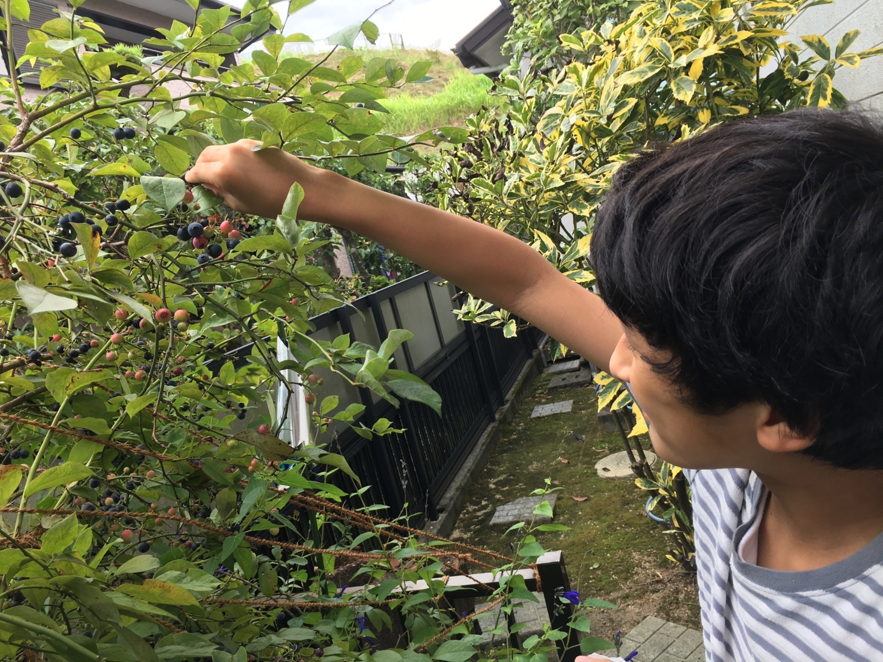 5番目のメイン画像