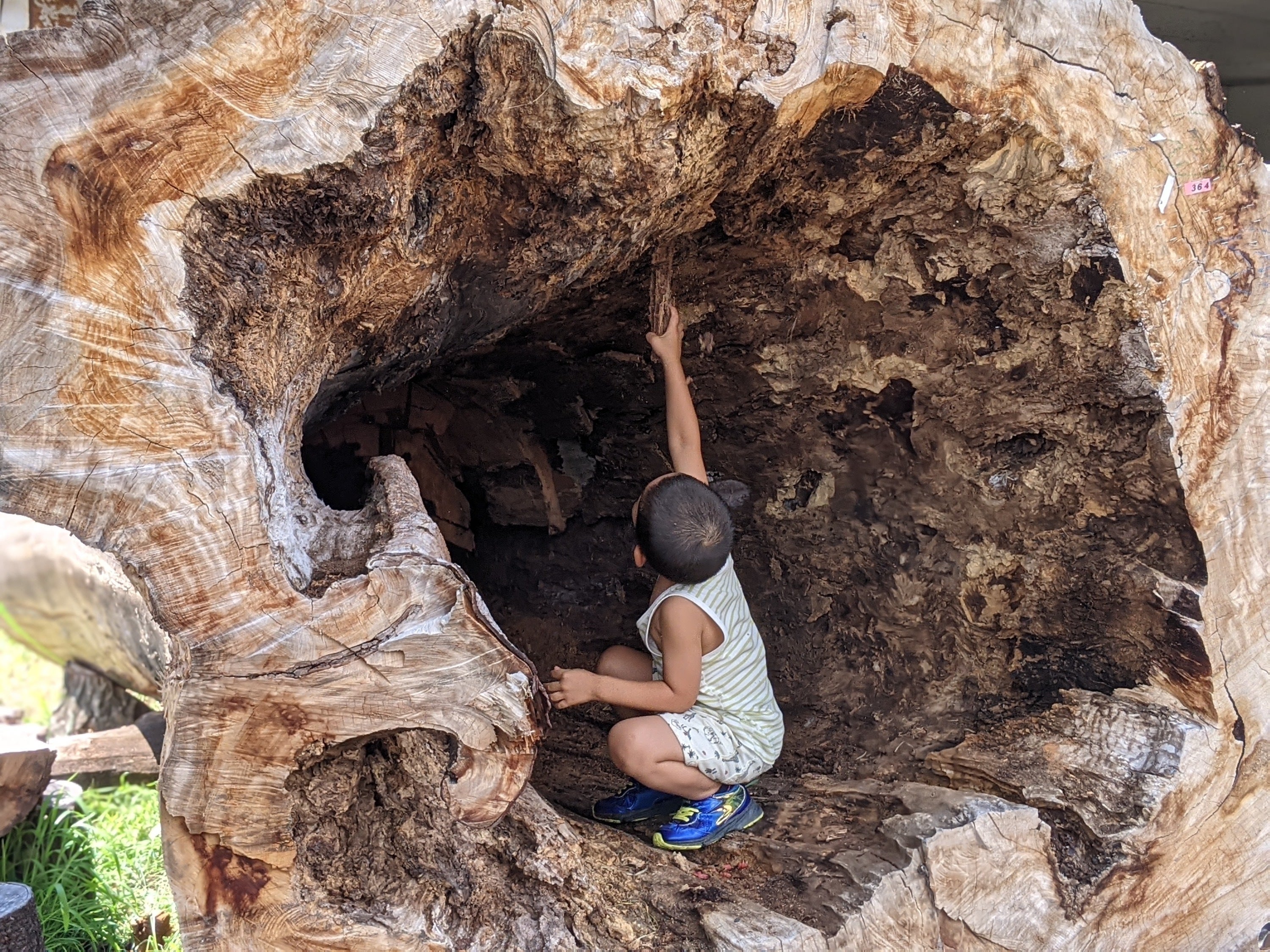 2番目のメイン画像