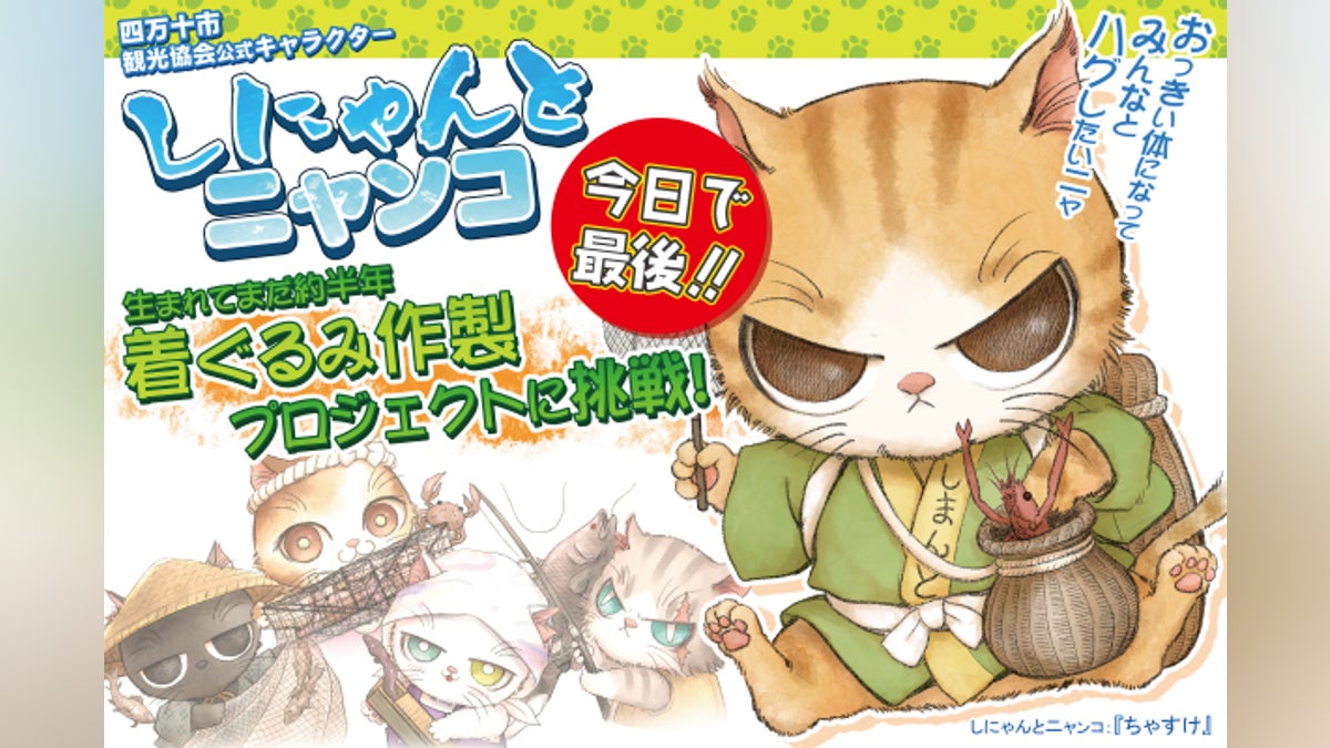 触れ合えるしにゃンコ!~四万十市の猫キャラに、命を吹き込む着ぐるみ 触れ合えるしにゃンコ!~四万十市の猫キャラに、命を吹き込む着ぐるみ