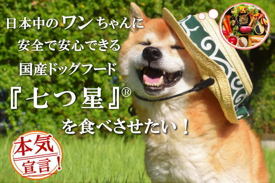 国産ドッグフード「七つ星」を作りたい！日本中のワンちゃんが安心して食べれるように - CAMPFIRE (キャンプファイヤー)