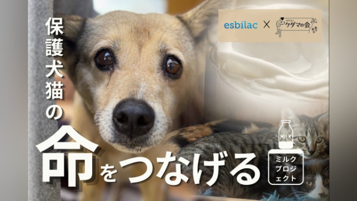 保護犬猫の命をつなぐミルク支援」あなたの想いを現場へ届けたい 保護犬猫の命をつなぐミルク支援」あなたの想いを現場へ届けたい