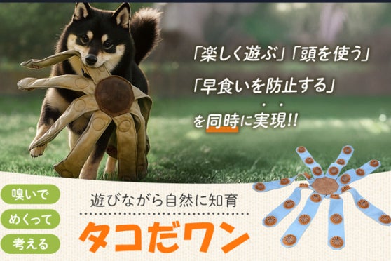 犬のストレス解消、知育おもちゃ、早食い防止、犬の暇つぶし