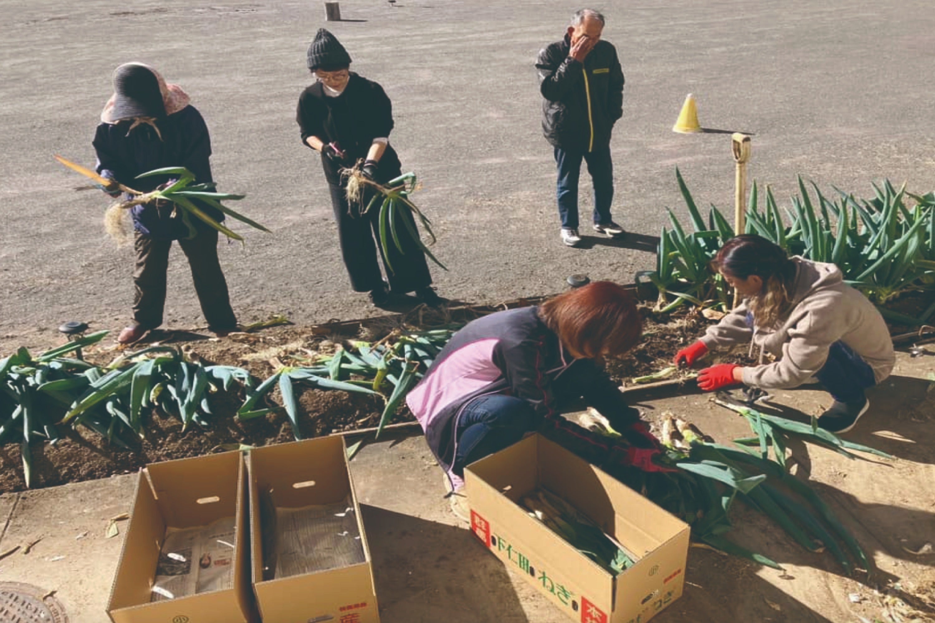 3番目のメイン画像