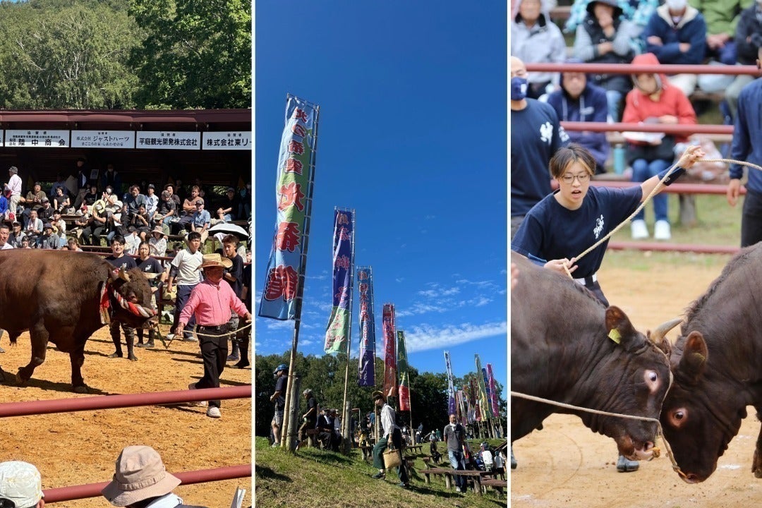 3番目のメイン画像