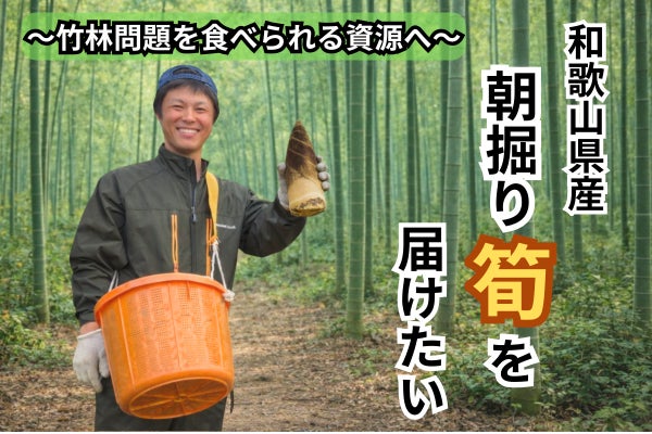とれたての新鮮朝掘り筍を販売したい！ - CAMPFIRE (キャンプファイヤー)