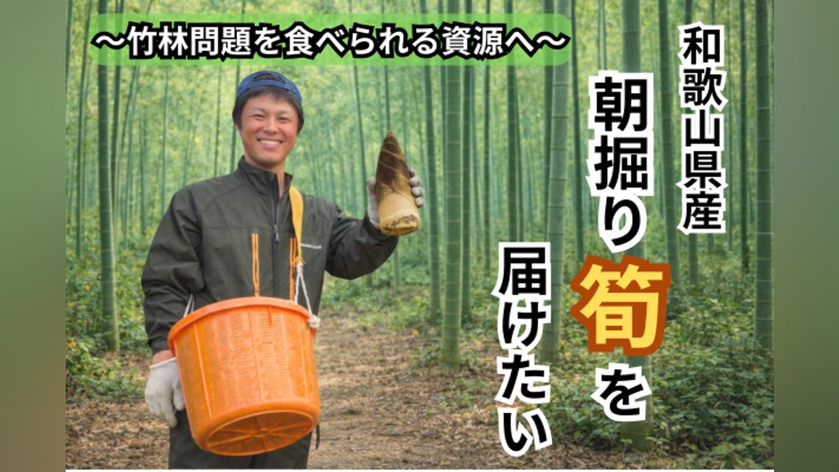 とれたての新鮮朝掘り筍を販売したい! - CAMPFIRE (キャンプファイヤー) とれたての新鮮朝掘り筍を販売したい! - CAMPFIRE (キャンプファイヤー)