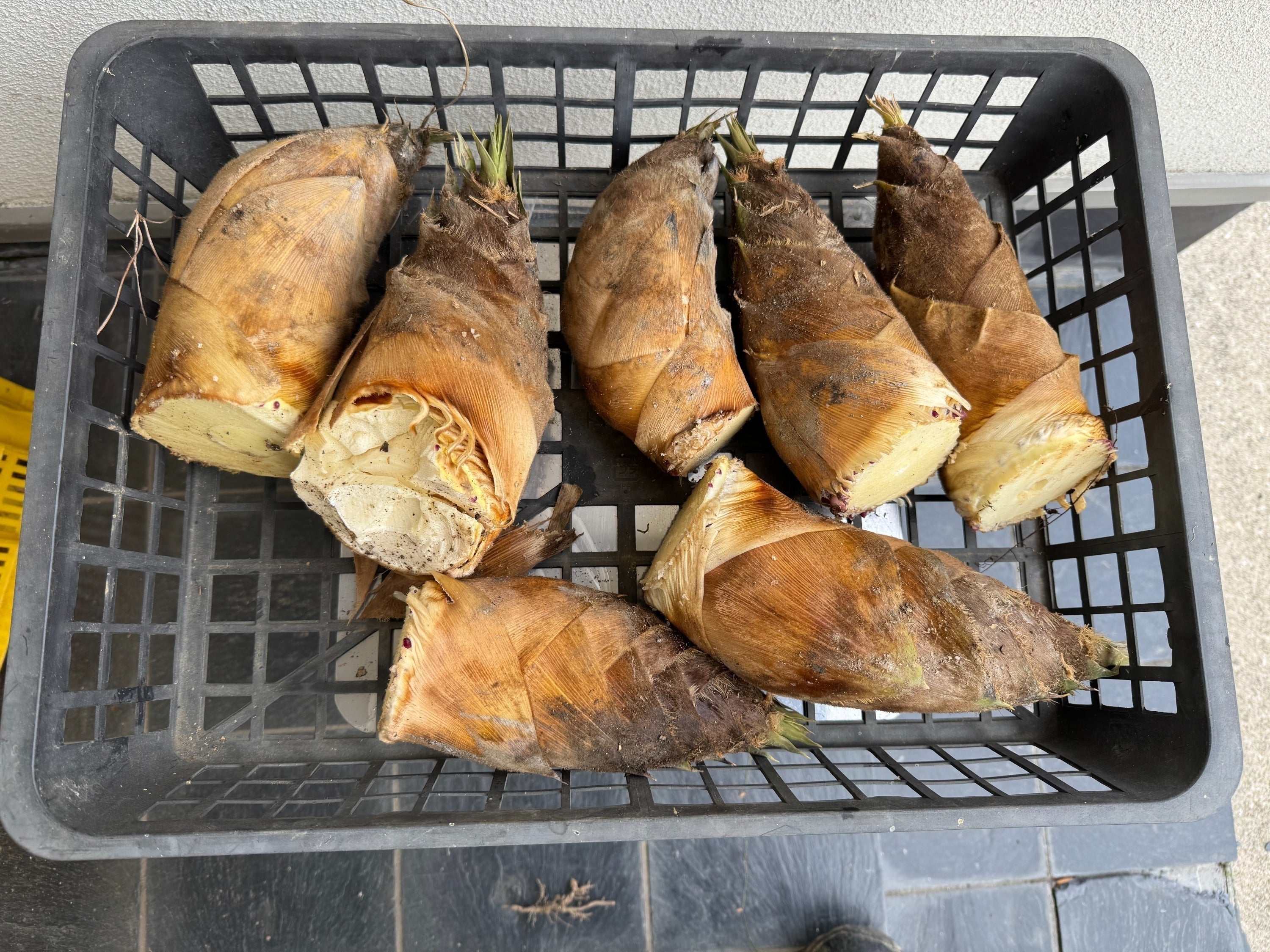 4番目のメイン画像