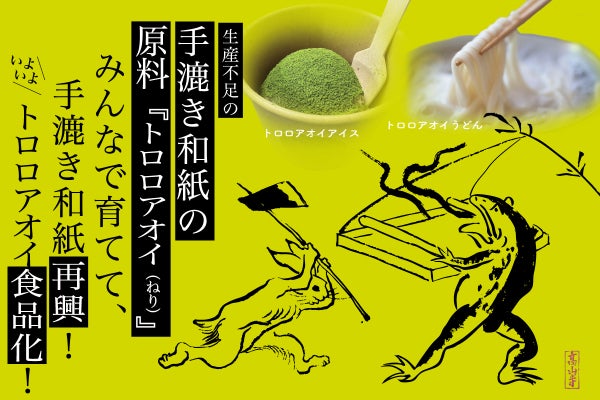 生産不足の手漉き和紙原料トロロアオイを栽培！いよいよトロロアオイ 