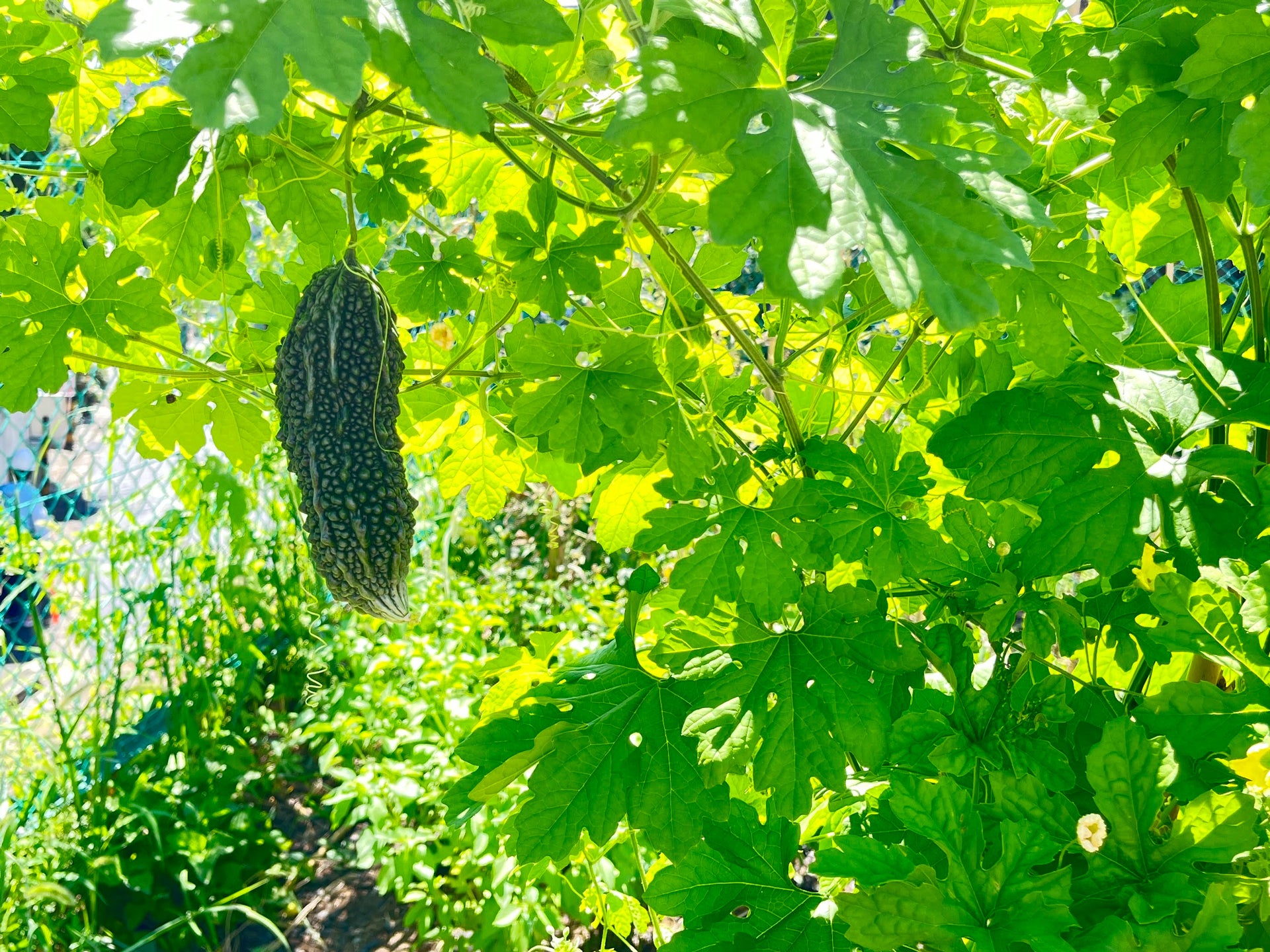 4番目のメイン画像