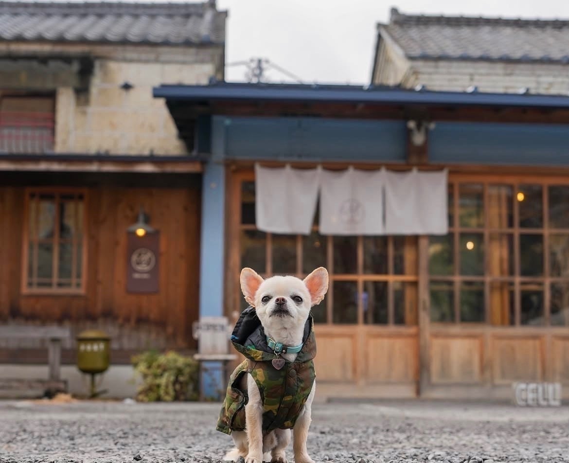 5番目のメイン画像