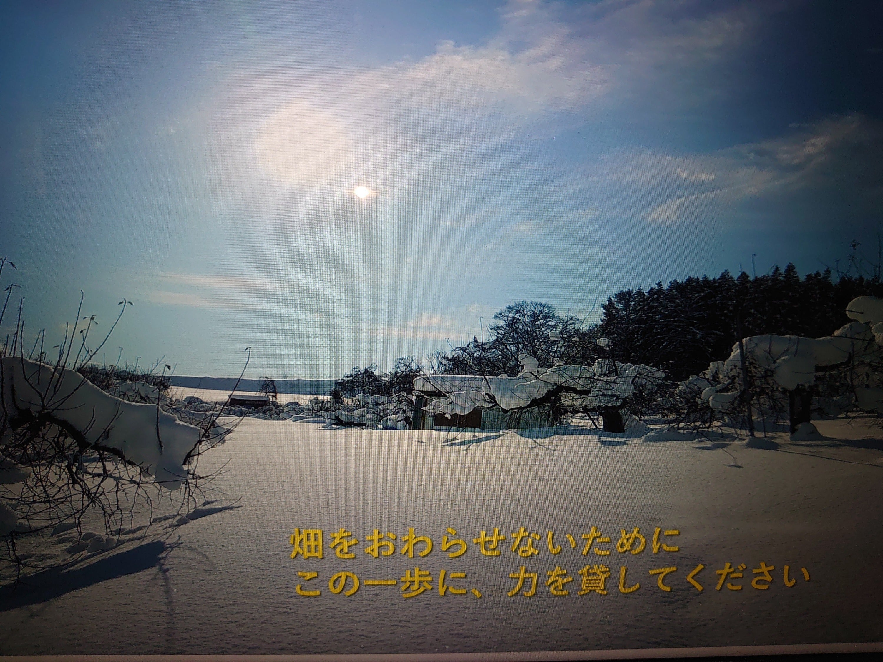 5番目のメイン画像