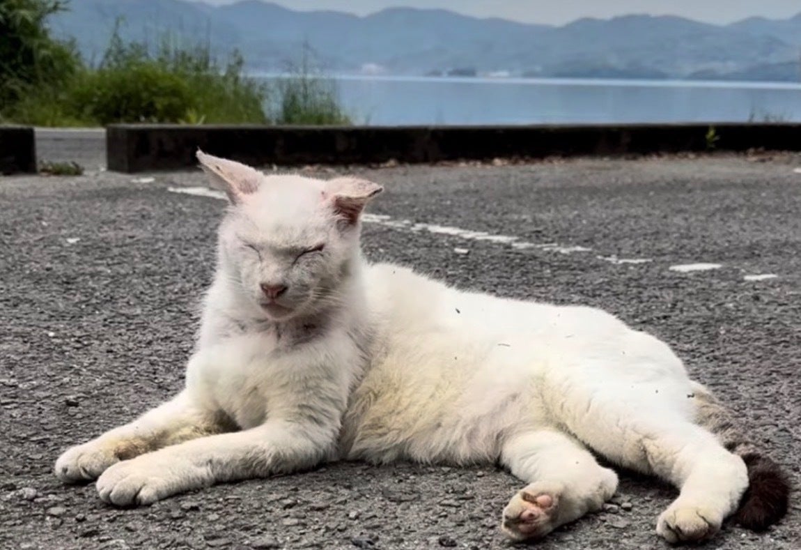 3番目のメイン画像