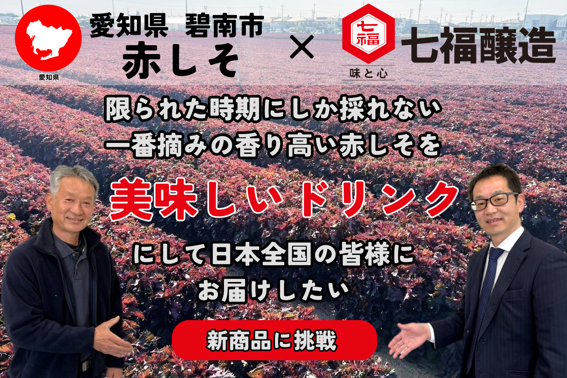愛知県碧南市「一番摘み赤しそ」×「18年熟成梅寿酢」さわやかで豊潤