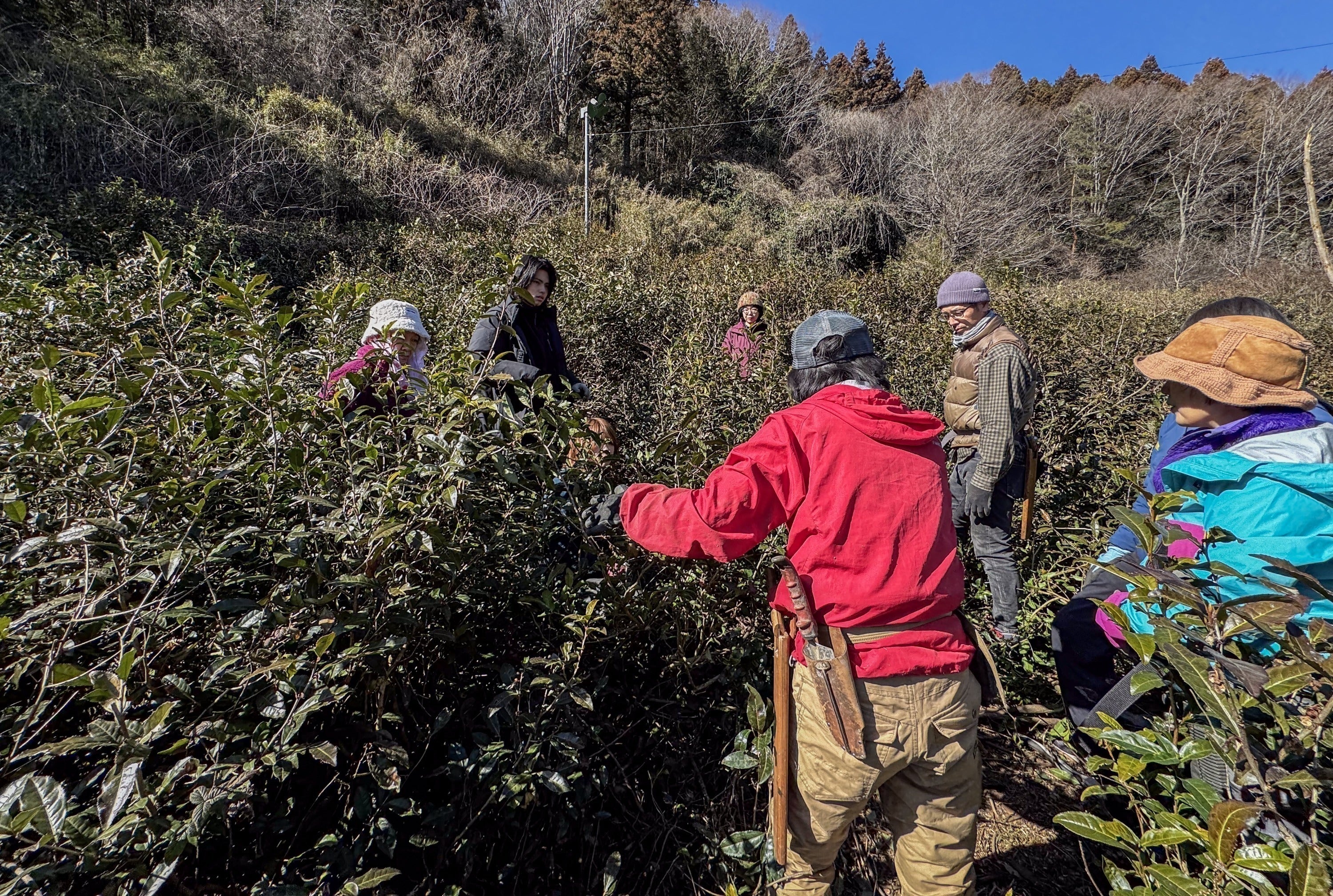 4番目のメイン画像