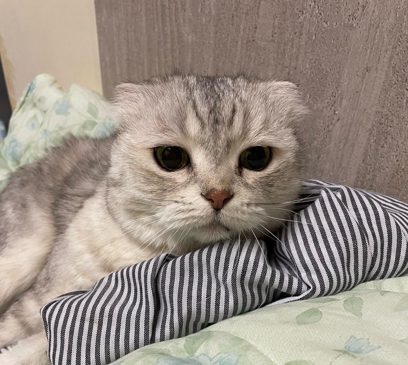 5番目のメイン画像