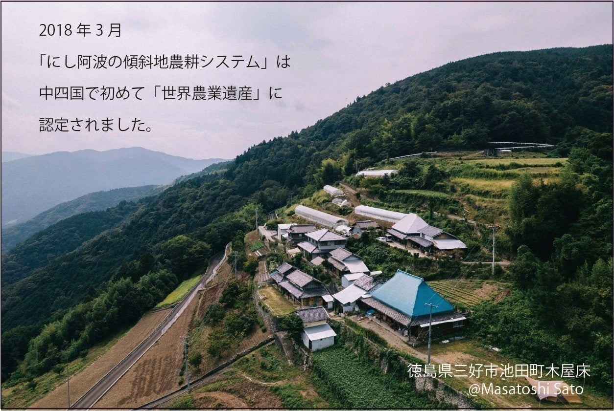 にし阿波・世界農業遺産』 山で味わう伝統 『薪窯干し芋』体験施設を にし阿波・世界農業遺産』 山で味わう伝統 『薪窯干し芋』体験施設を