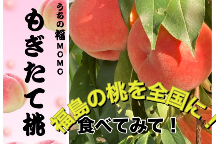 福島桃プロジェクト 〜全国に届ける果実の輝き〜再び！！ - CAMPFIRE