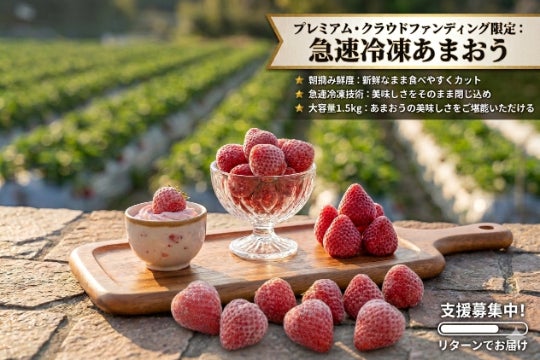あまおう」の旬を閉じ込めた。朝摘み・急速冷凍の濃厚イチゴ1.5kgを